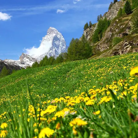 Diana * Zermatt